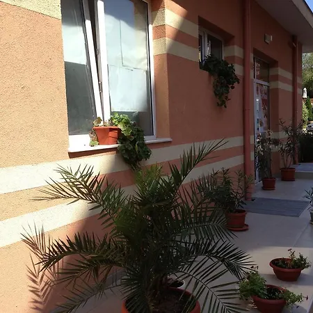 Casa de hóspedes Sunshine Family 2*